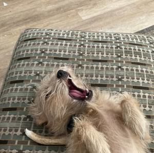 Meet your Posher, Mark